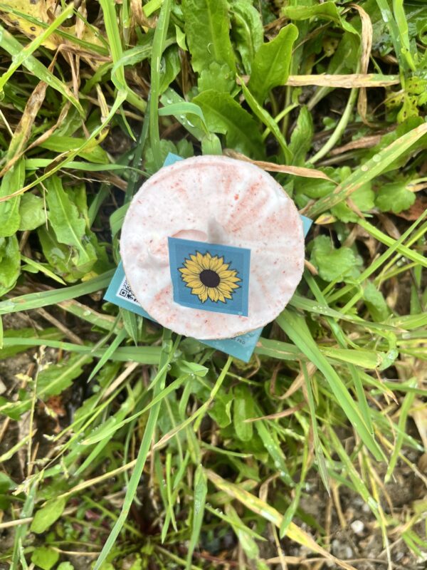 Le SunRhuby. – Image 2